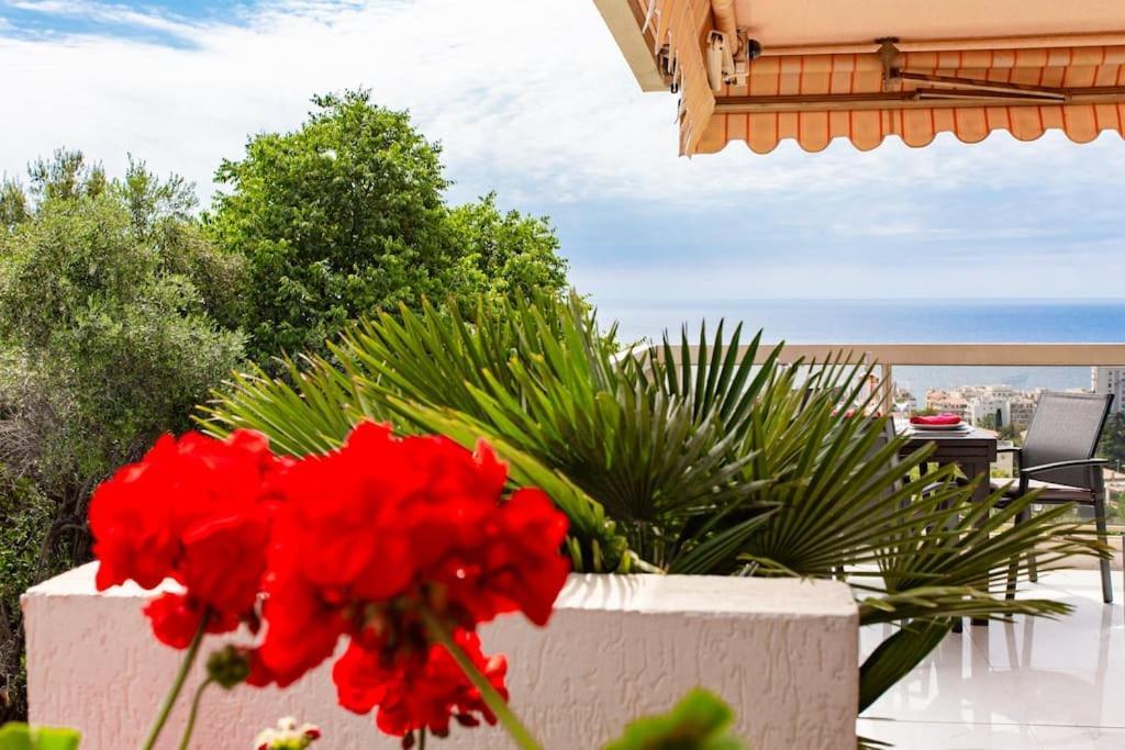 Aparthotel Riviera - La Terrasse De Clairefontaine - Fabron Νίκαια Εξωτερικό φωτογραφία